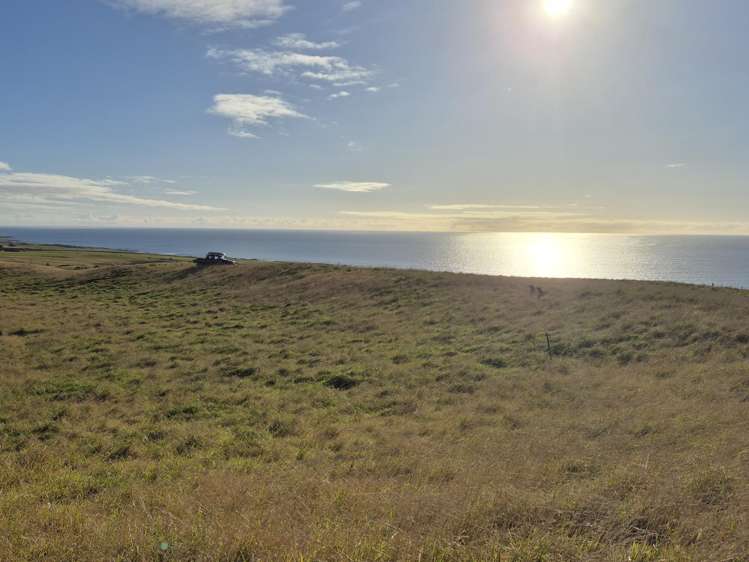 Lot 1-3/546 Waitangi Tuku Road_0