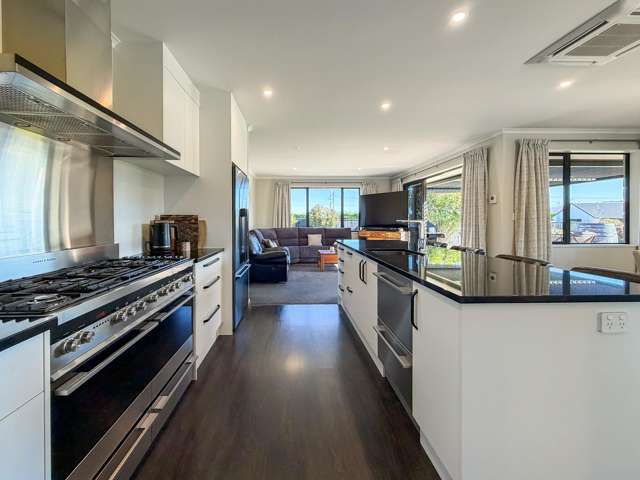 33 Birchwood Avenue Blenheim_2