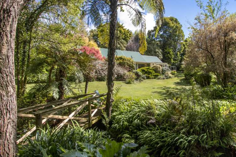 87 Old Waitekauri Road Waikino_10