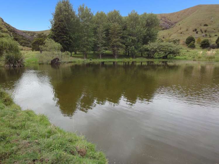 190 Harris Road Woodville_9