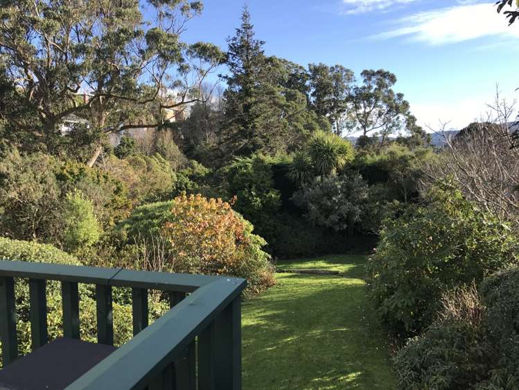 58 Spottiswoode Street Tainui_13