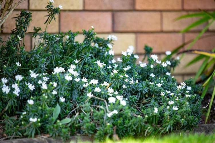 10 Lochinver Drive Nawton_23