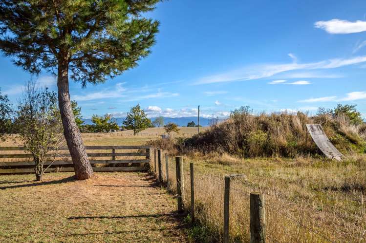 144 Dublin Street Martinborough_13