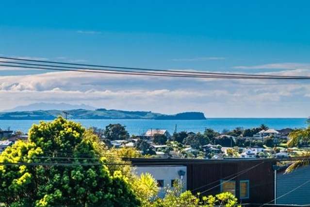 72 Sunrise Avenue Mairangi Bay_2