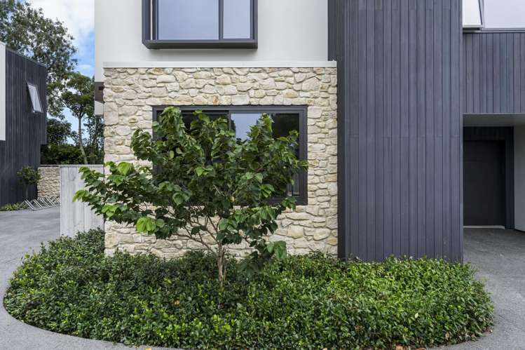 109C Taylor Street Cambridge_25