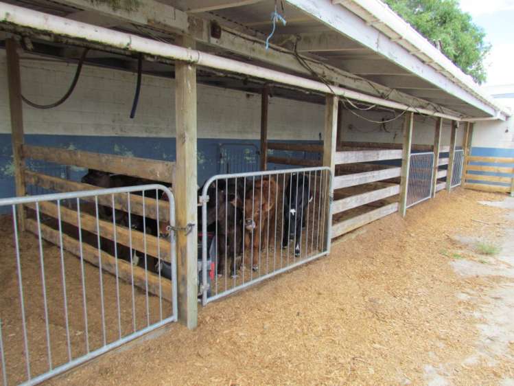 354 Access Road Ruawai_4