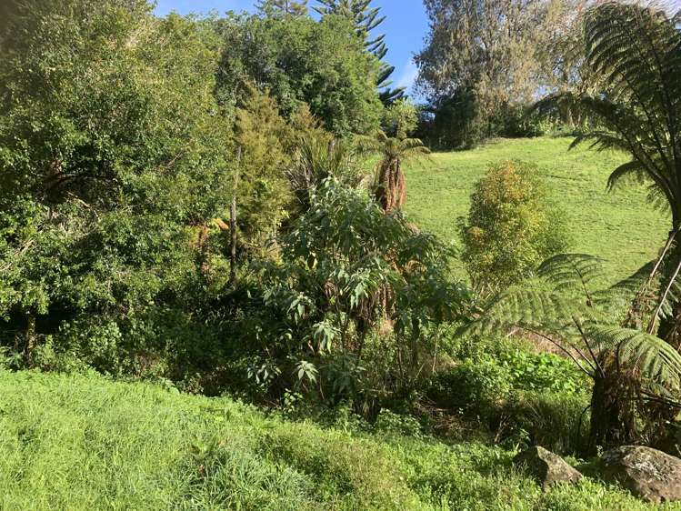 Lot 5/45a Blue Gum Lane Kerikeri_9