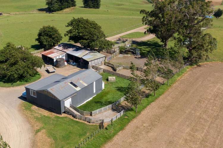 1397 Makino Road Halcombe_3