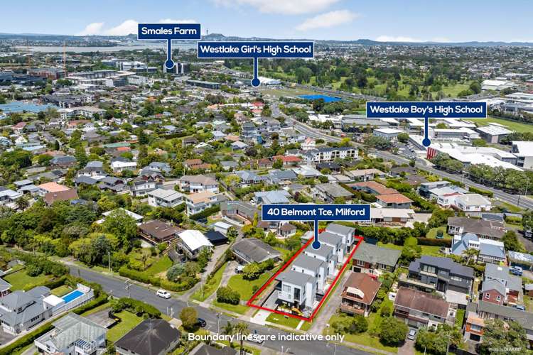 40D Belmont Terrace Milford_14