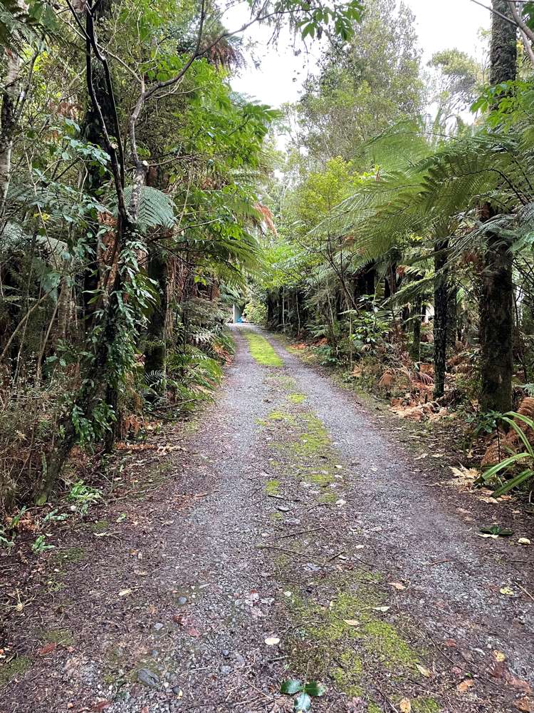 1976b Haast-Jackson Bay Road Jackson Bay_8