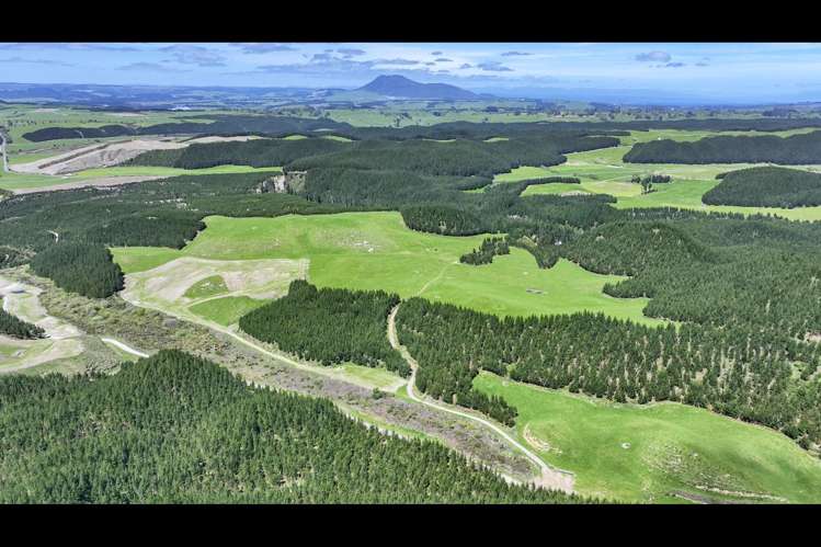 Korako Road Taupo_15