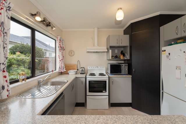 29c Findlay Street Tawa_3