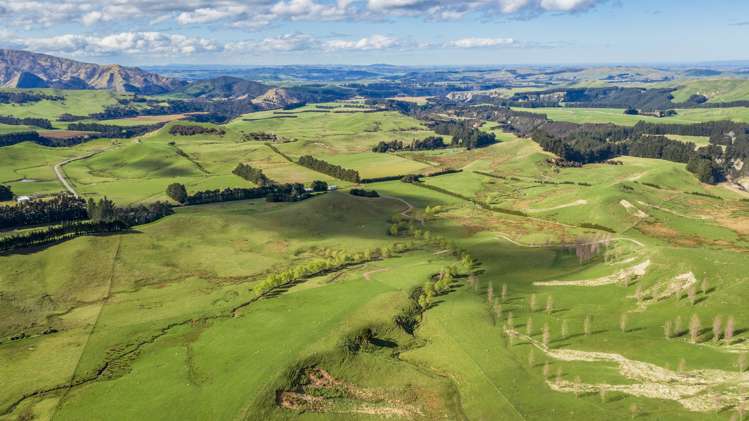 463 Gull Flat Road Central Hawkes Bay Country_13