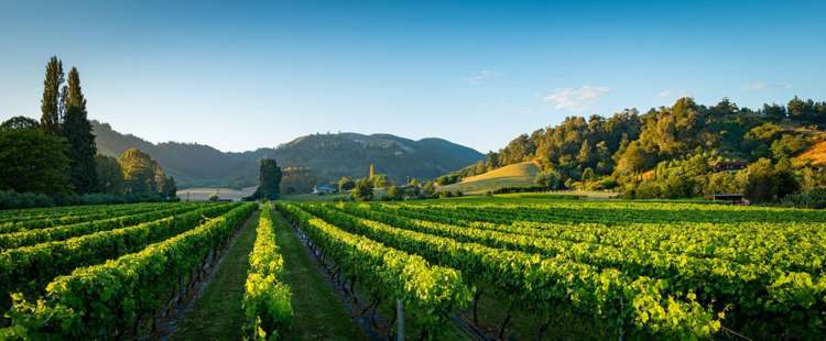 1469 Motueka Valley Highway Ngatimoti_18