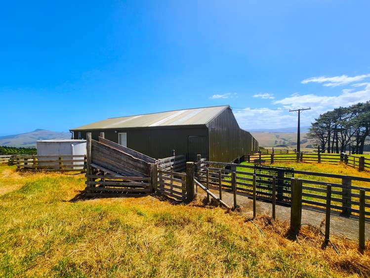 413 Monteith Road Dargaville Surrounds_16