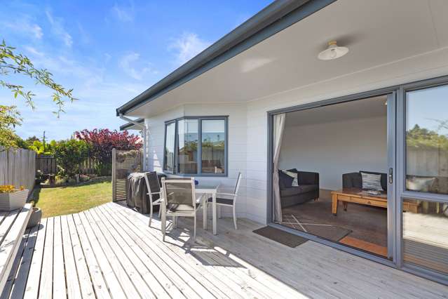 3b Princess Street Te Puke_1