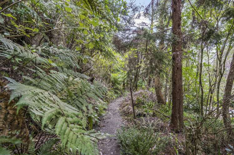 19 Sheehy Grove Wainuiomata_20