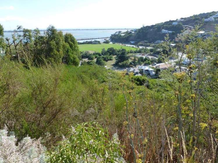 20 La Costa Lane Mount Pleasant_13