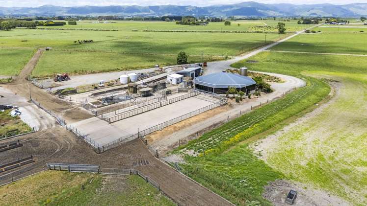 Generational Opportunities Palmerston North_25