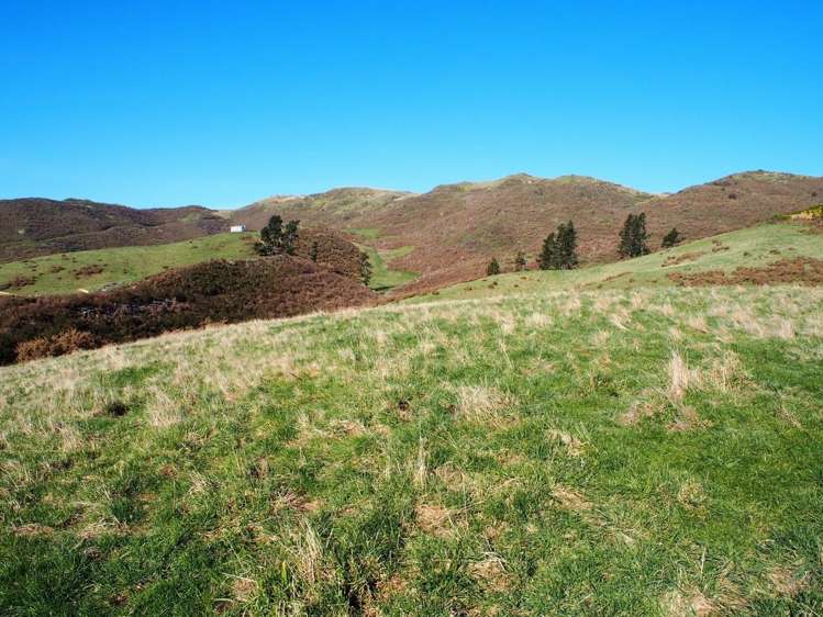 Bluff Road Sheffield_6