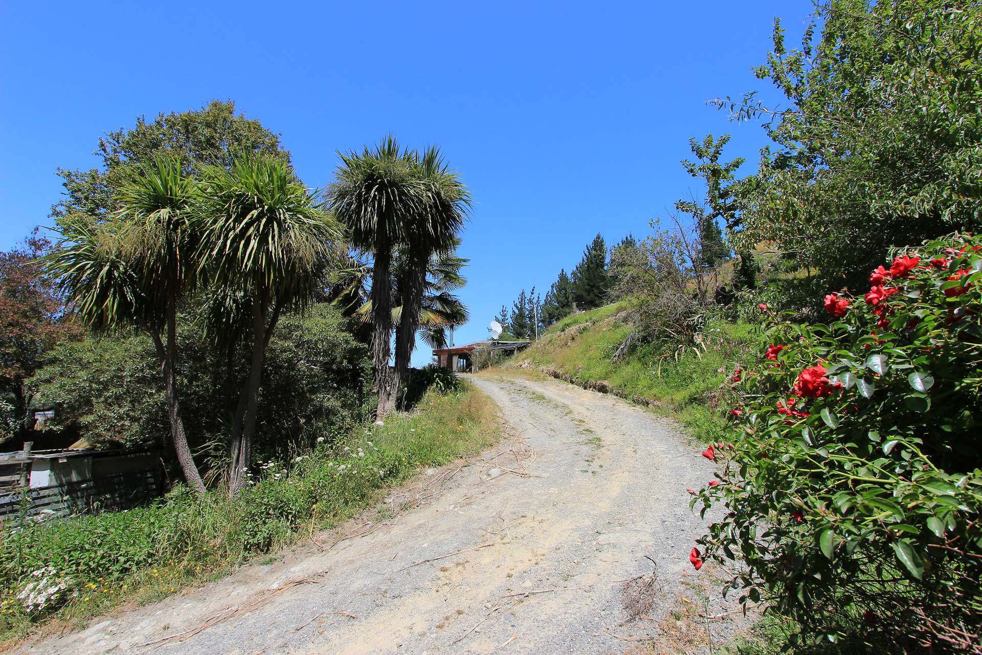 1806 Northbank Road Wairau Valley_0