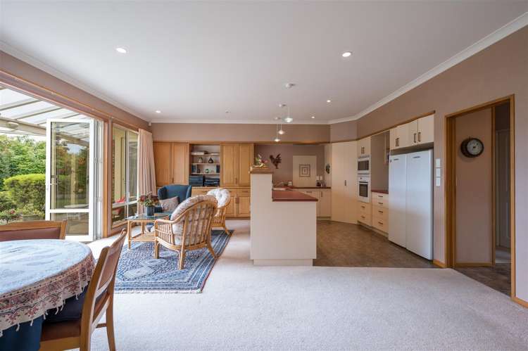 49a Grove Street The Wood_5