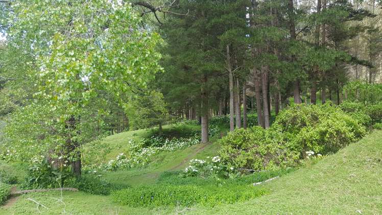 217 Taumatatahi Road Ruapehu-King Country Surrounds_22