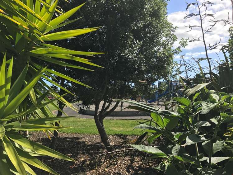 2/19 Harwood Road Mount Wellington_5