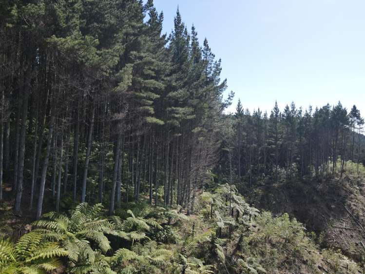 353 Pretoria Road Shannon_2