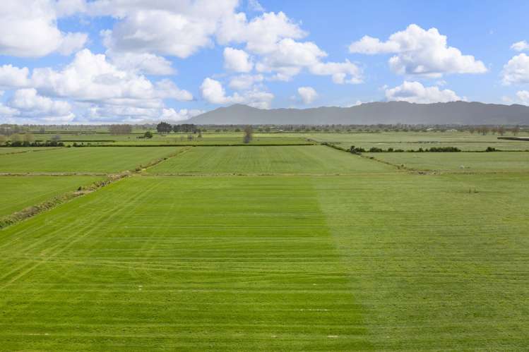 Waghorn Road Manawaru_9