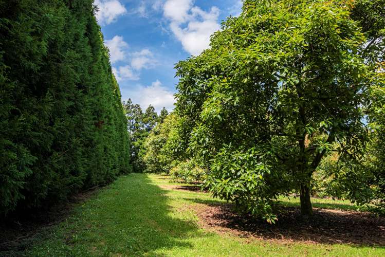 1700 State Highway 14 Maungatapere_10