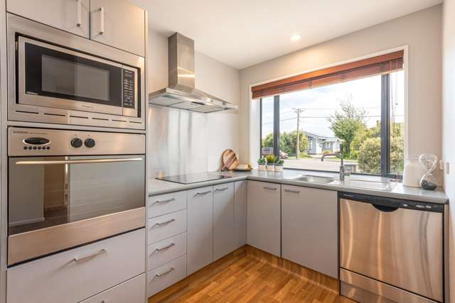 24 Wychbury Street Spreydon_2