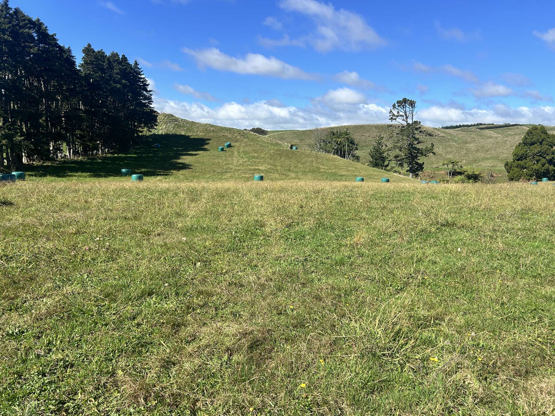 Near 741 Upland Road Egmont Village_0