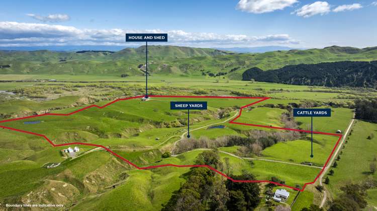 320 Rochfort Road Kahuranaki_1