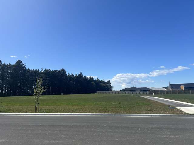 22 Arrowsmith Drive Methven_1