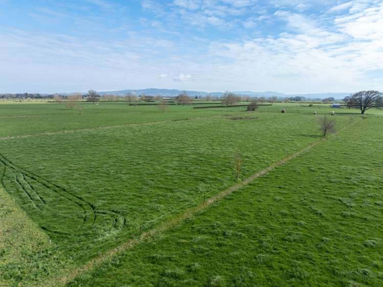 497 No. 7 Road Morrinsville_11