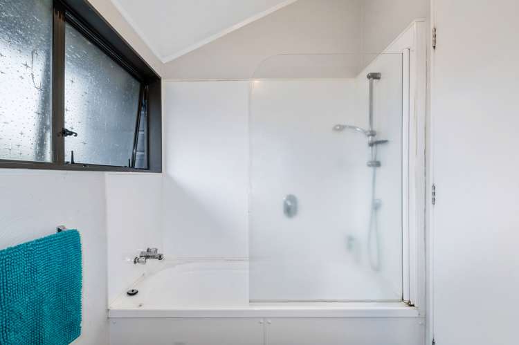 46 Moncur Drive Springfield_11