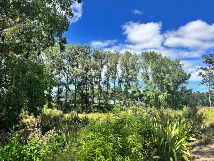 23 Kauka Road Milldale_1