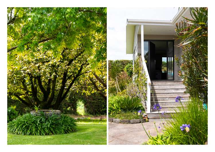 86b Pahoia Road Whakamarama_6