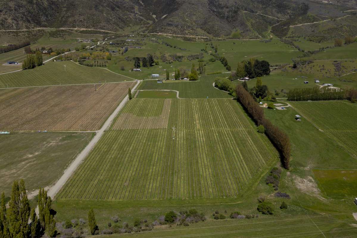 Lot 1/172 Gibbston Back Road_3