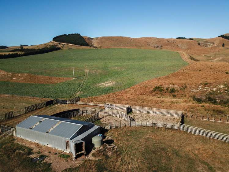 207 Tondros Road Fairlie_7