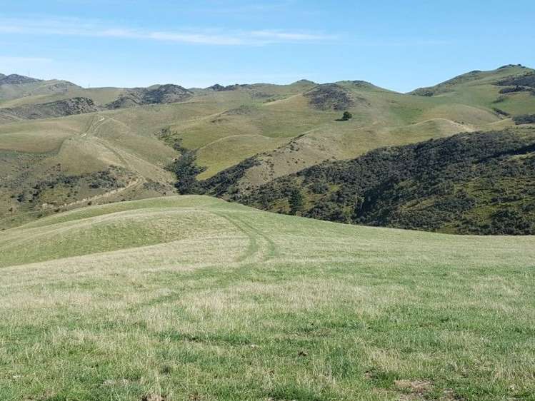 1028 Hurunui Bluff Road Hurunui_16