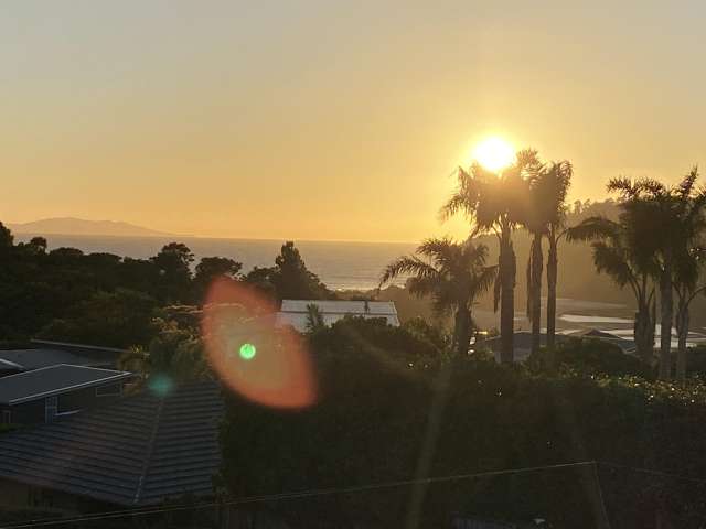 Lot 1 409 The Drive Whangamata_1