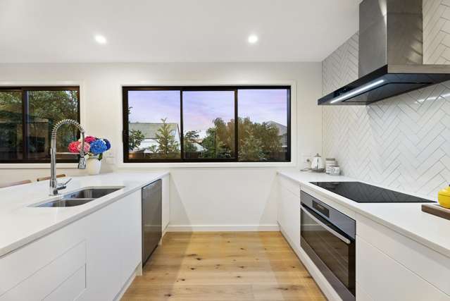 45a Riro Street Point Chevalier_2