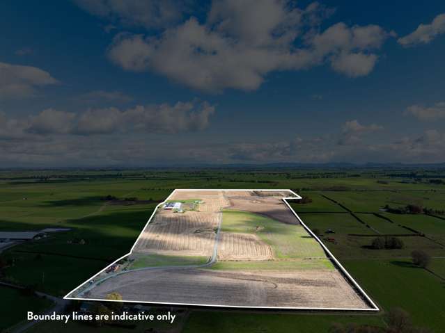 109A/B Reay & Watson Road Tauhei_1