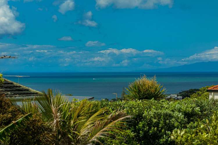 281 East Coast Road Mairangi Bay_54