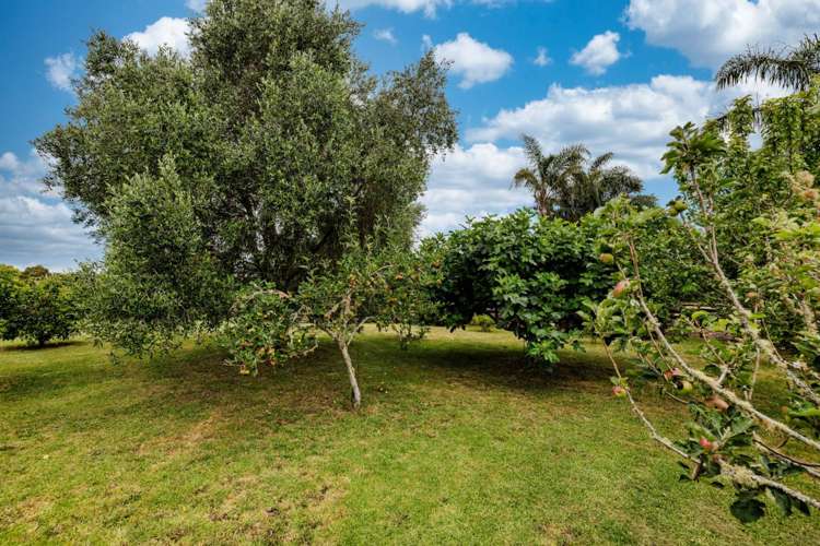 1 Courthouse Lane Kerikeri_37