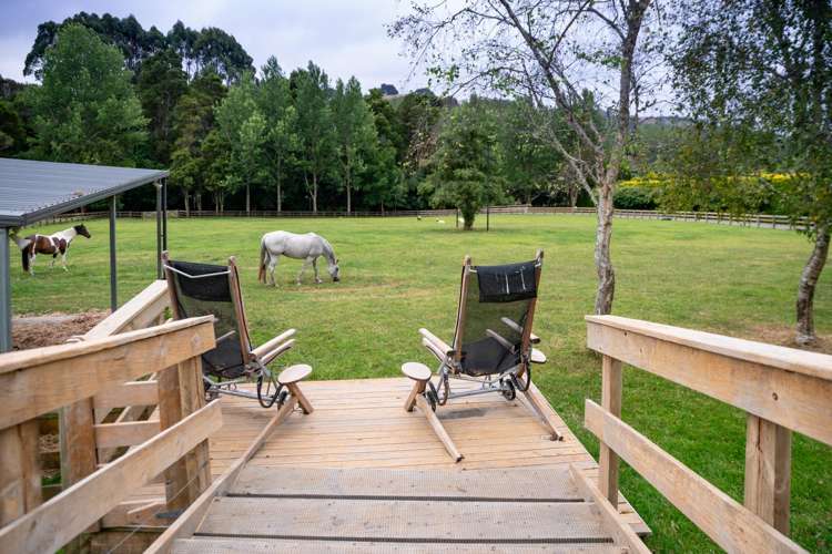 35 Eucalyptus Way Nikau Valley_16