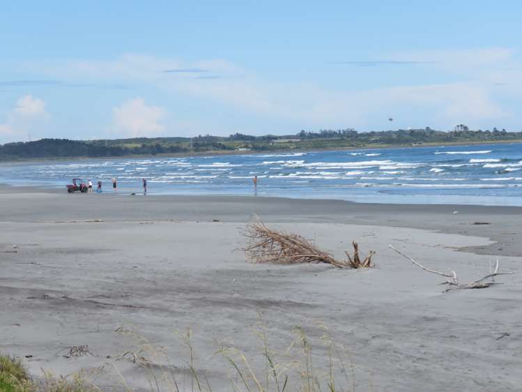 11 Elley Drive Carters Beach_13