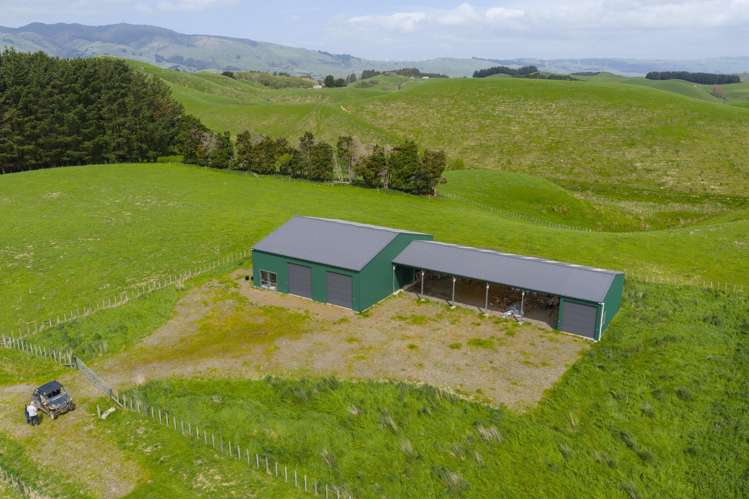 137 Zigzag Road Pohangina Valley_12